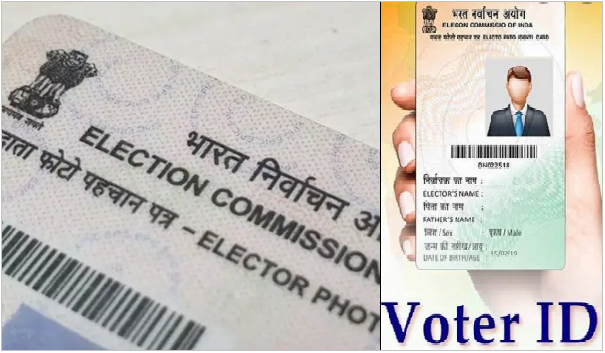 Voter ID Online Registration Form 2024 Search Track Card Status